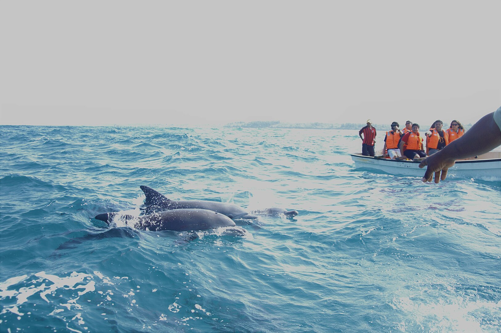 Zanzibar Group Tour