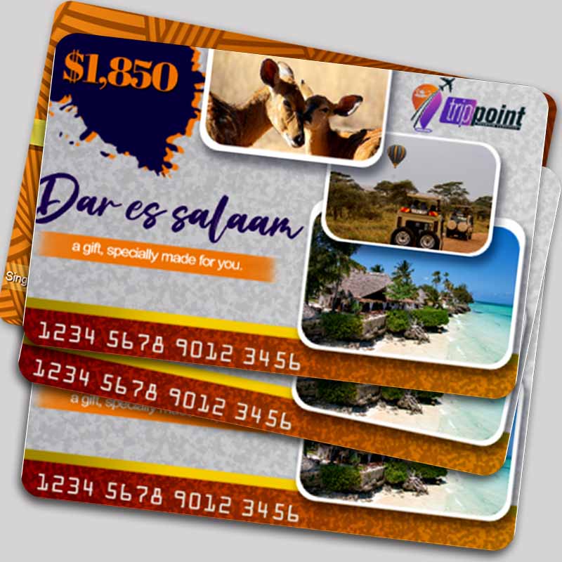 Dar es Salaam Travel Gift Card