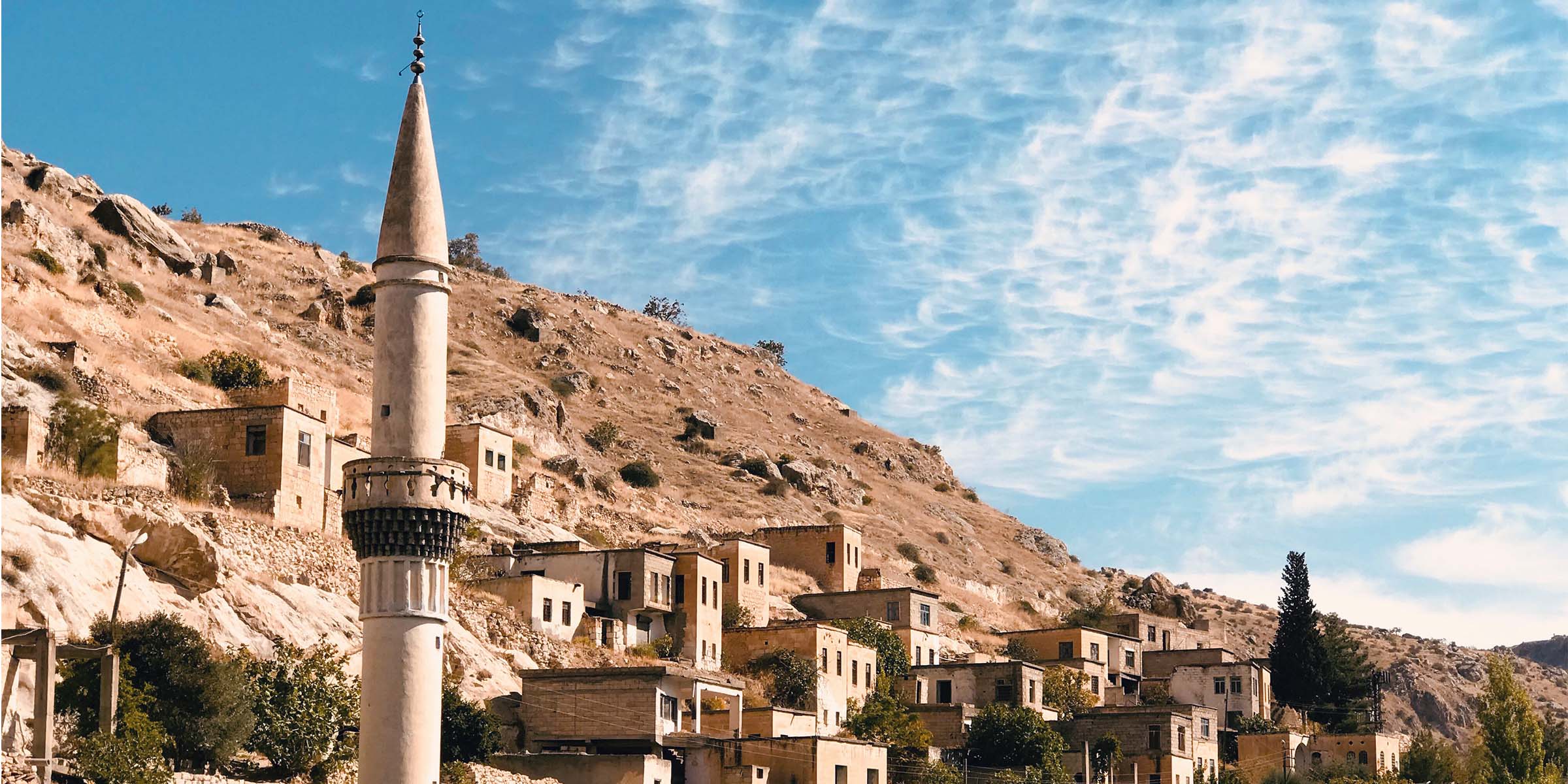Turkey2